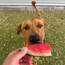 Thumbnail photo of Noble #3