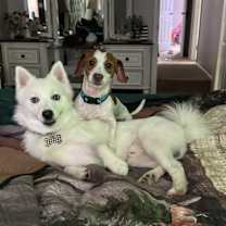 Thumbnail photo of Snow #1