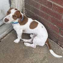 Thumbnail photo of Prince #2