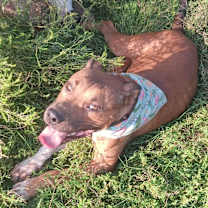 Thumbnail photo of Yada Yada #4