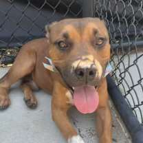 Thumbnail photo of Yada Yada #1