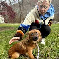 Thumbnail photo of Fennec #1