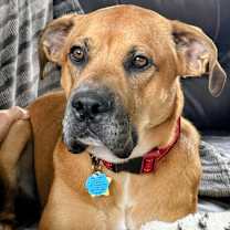 Thumbnail photo of Max #1