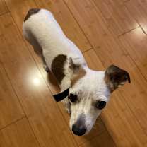 Thumbnail photo of Waffle #3