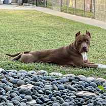 Thumbnail photo of Wonka #3