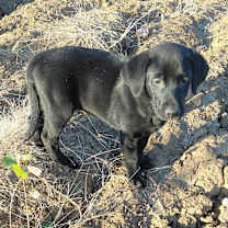 Thumbnail photo of No name #3