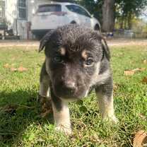 Thumbnail photo of Dorothy #2