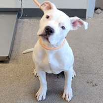 Thumbnail photo of Lumi #2