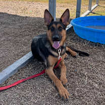 Thumbnail photo of Korianna  #1