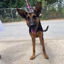 Thumbnail photo of Korianna  #4