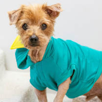 Thumbnail photo of Desi #1