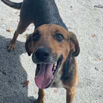 Thumbnail photo of Tipsy #1