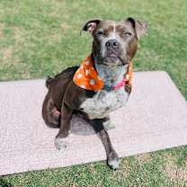 Thumbnail photo of Baby #2