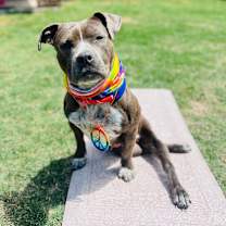 Thumbnail photo of Baby #3