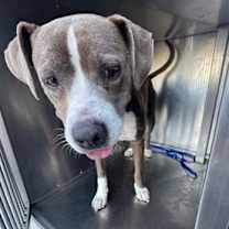 Thumbnail photo of Greyson #3