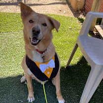 Thumbnail photo of Anton #1