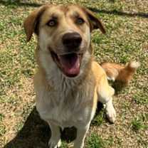 Thumbnail photo of FIONA #2