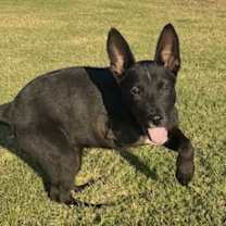 Thumbnail photo of Marge #2