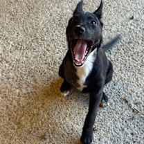 Thumbnail photo of Marge #4