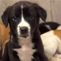 Thumbnail photo of Jacob #1