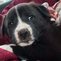 Thumbnail photo of Jacob #3