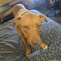 Thumbnail photo of George Cloney #2