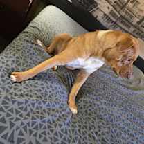 Thumbnail photo of George Cloney #4