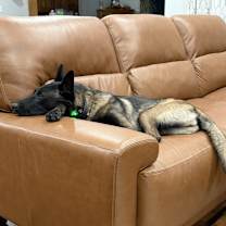 Thumbnail photo of Marley #2