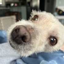 Thumbnail photo of Coco Miranda #3