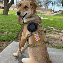 Thumbnail photo of Bailey #2