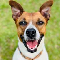 Thumbnail photo of Asia #2