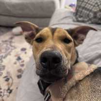 Thumbnail photo of Momma Belle Henson #1