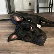 Thumbnail photo of Mickey Bibb #2