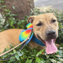 Thumbnail photo of Lil John AKA Johnny #4