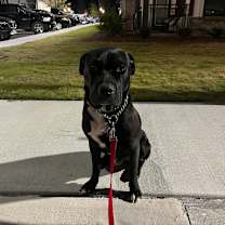 Thumbnail photo of Mickey Bibb #4