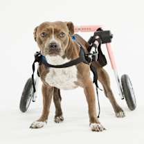 Thumbnail photo of Baby #1