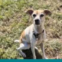 Thumbnail photo of Clarke #1