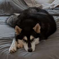 Thumbnail photo of Storm #1