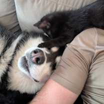 Thumbnail photo of Storm #2