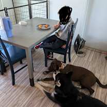 Thumbnail photo of Storm #3