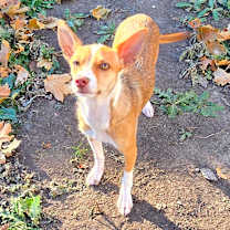 Thumbnail photo of Penny Lou #4