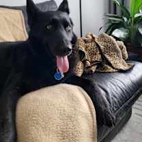 Thumbnail photo of Taya #4