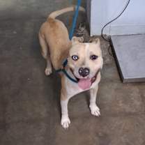 Thumbnail photo of Phyllis #3