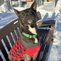 Thumbnail photo of Nascar #2