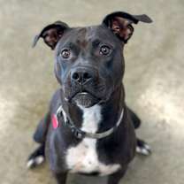 Thumbnail photo of Stella #2