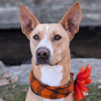 Thumbnail photo of Dorris #1