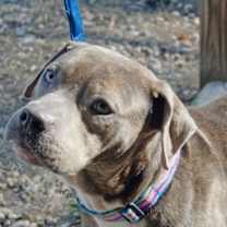 Thumbnail photo of Tuna #2