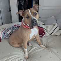 Thumbnail photo of Remi  #1