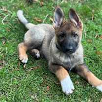 Thumbnail photo of Big Boots #1