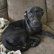 Thumbnail photo of Libby #1